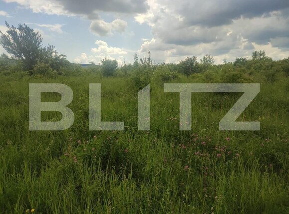 Teren de vânzare Prundu - 147598TV | BLITZ Pitești | Poza3