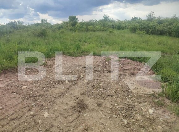 Teren de vânzare Prundu - 147598TV | BLITZ Pitești | Poza2