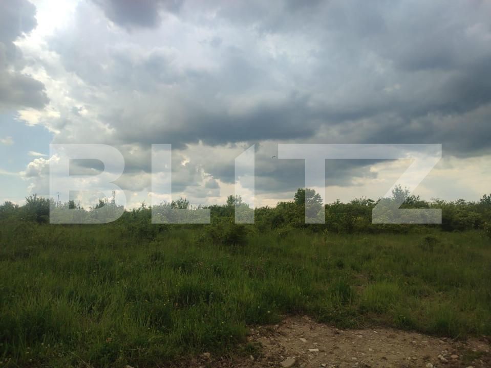 Teren de vânzare Prundu - 147598TV | BLITZ Pitești | Poza4