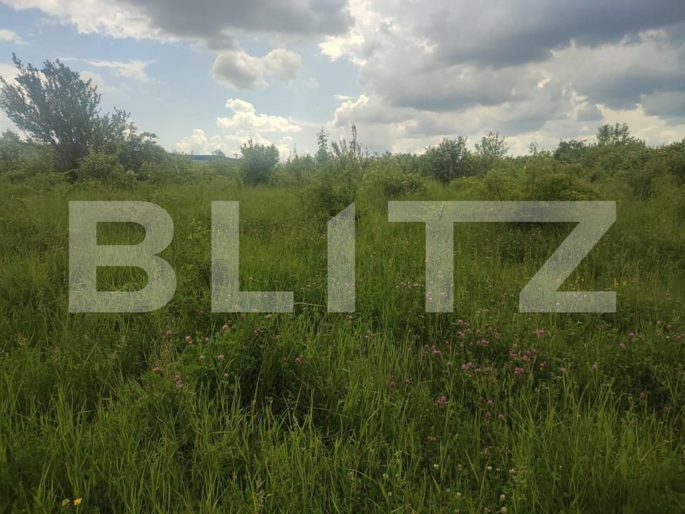 Teren de vânzare Prundu - 147598TV | BLITZ Pitești | Poza3