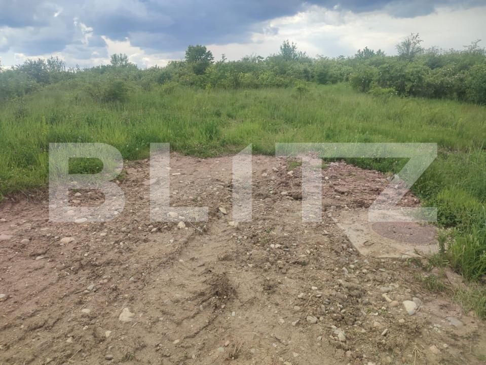 Teren de vânzare Prundu - 147598TV | BLITZ Pitești | Poza2