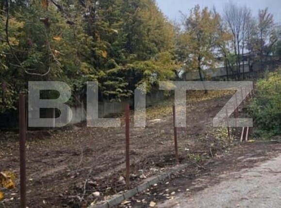 Teren de vânzare Fratii Golesti - 148173TV | BLITZ Pitești | Poza2