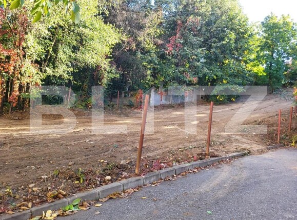 Teren de vânzare Fratii Golesti - 148173TV | BLITZ Pitești | Poza5