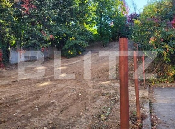 Teren de vânzare Fratii Golesti - 148173TV | BLITZ Pitești | Poza6