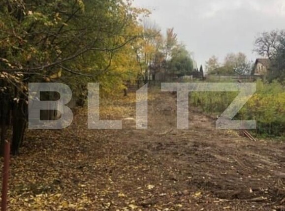 Teren de vânzare Fratii Golesti - 148173TV | BLITZ Pitești | Poza3