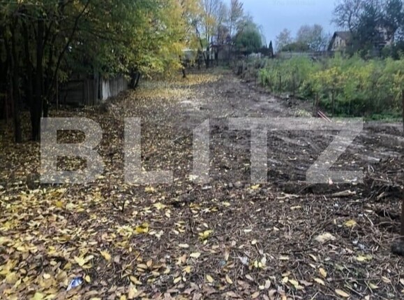 Teren de vânzare Fratii Golesti - 148173TV | BLITZ Pitești | Poza4