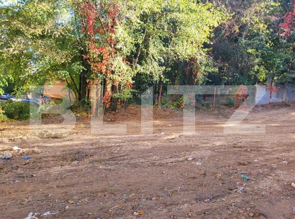 Teren de vânzare Fratii Golesti - 148173TV | BLITZ Pitești | Poza1