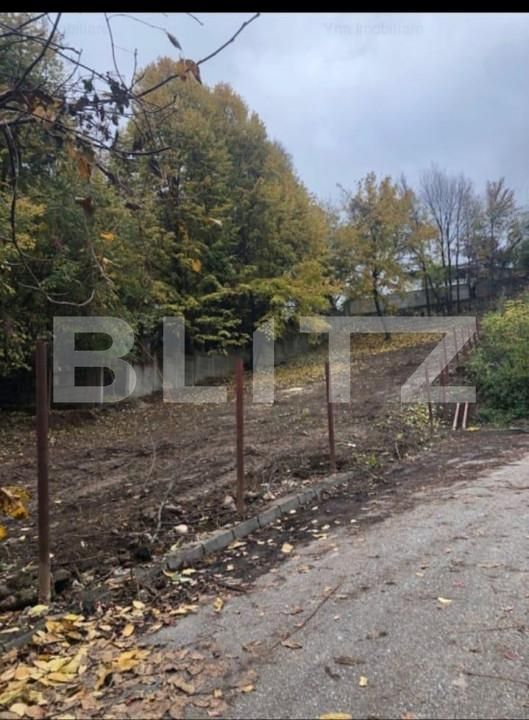 Teren de vânzare Fratii Golesti - 148173TV | BLITZ Pitești | Poza2