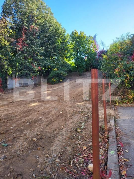 Teren de vânzare Fratii Golesti - 148173TV | BLITZ Pitești | Poza6