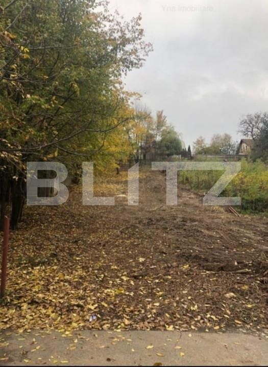 Teren de vânzare Fratii Golesti - 148173TV | BLITZ Pitești | Poza3