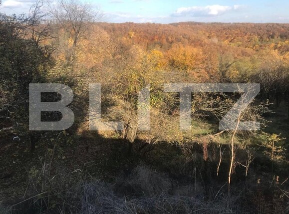 Teren de vânzare Exterior Vest - 148271TV | BLITZ Pitești | Poza2