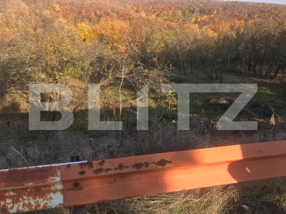 Teren de vânzare Exterior Vest - 148271TV | BLITZ Pitești | Poza3