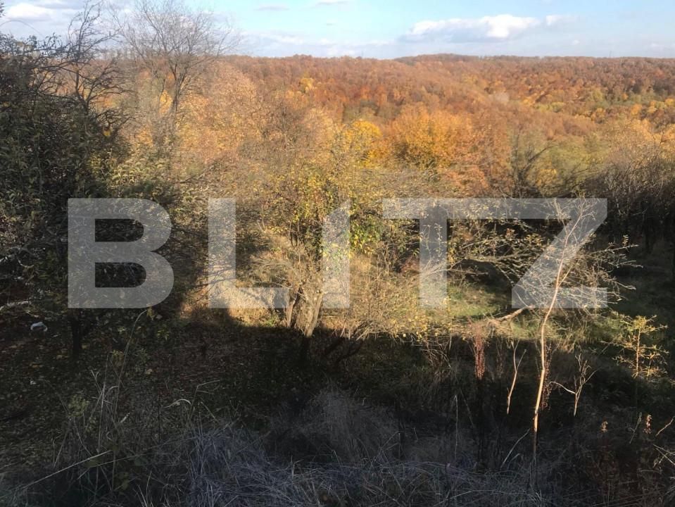 Teren de vânzare Exterior Vest - 148271TV | BLITZ Pitești | Poza2