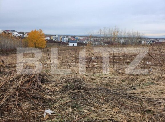 Teren de vânzare Campului - 148275TV | BLITZ Pitești | Poza2