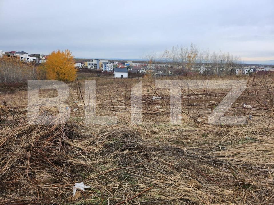 Teren de vânzare Campului - 148275TV | BLITZ Pitești | Poza2