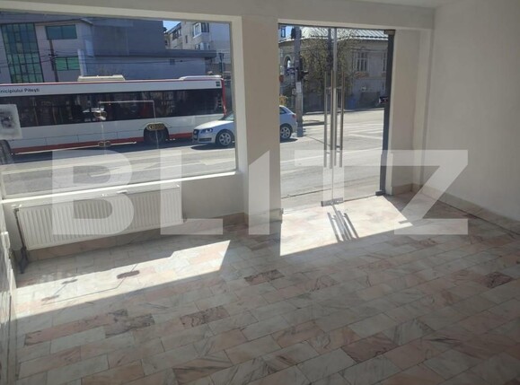 Spațiu comercial de închiriat Teilor - 148278SIC | BLITZ Pitești | Poza2