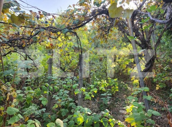 Casa de vânzare 4 camere Central - 148289CV | BLITZ Pitești | Poza4