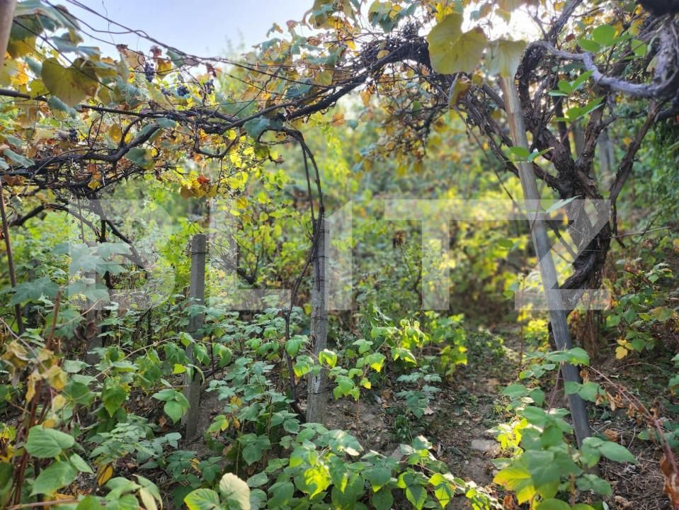 Casa de vânzare 4 camere Central - 148289CV | BLITZ Pitești | Poza4