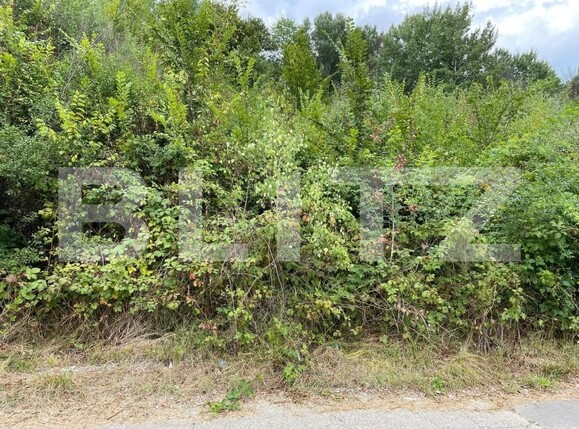 Teren de vânzare Exterior Nord - 148298TV | BLITZ Pitești | Poza6