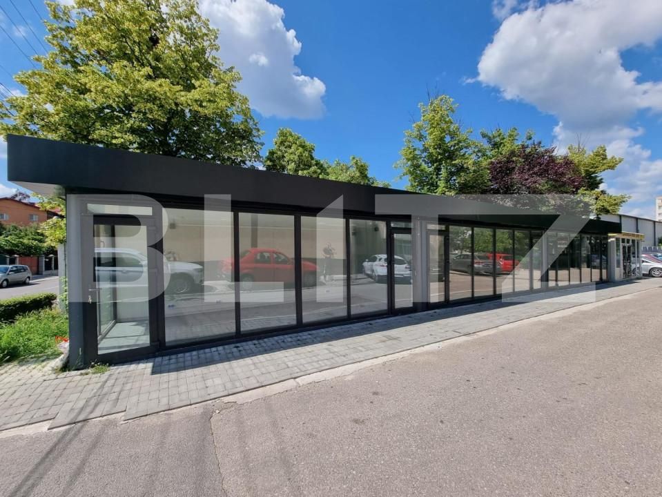 Spațiu comercial de vânzare Banat - 148749SVC | BLITZ Pitești | Poza6