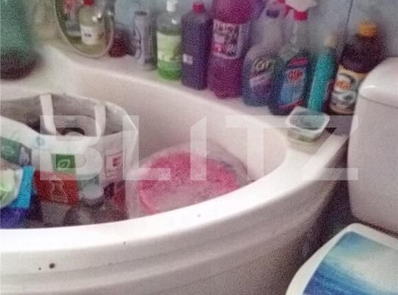 Casa de vânzare 4 camere Prundu - 149824CV | BLITZ Pitești | Poza5