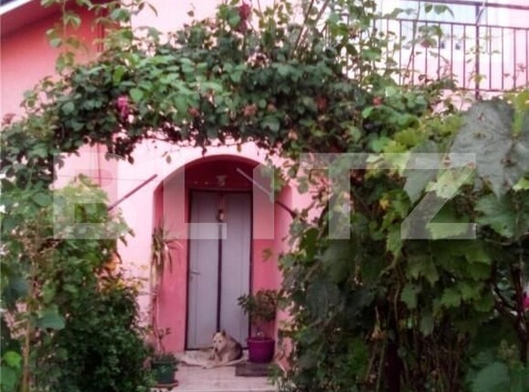 Casa de vânzare 4 camere Prundu - 149824CV | BLITZ Pitești | Poza1