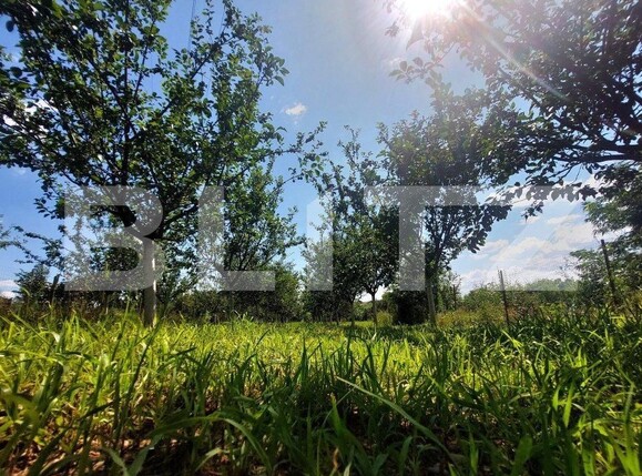 Casa de vânzare 3 camere Prundu - 149825CV | BLITZ Pitești | Poza15