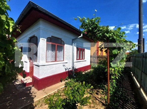 Casa de vânzare 3 camere Prundu - 149825CV | BLITZ Pitești | Poza1