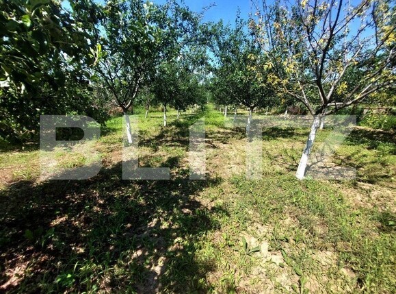 Casa de vânzare 3 camere Prundu - 149825CV | BLITZ Pitești | Poza7