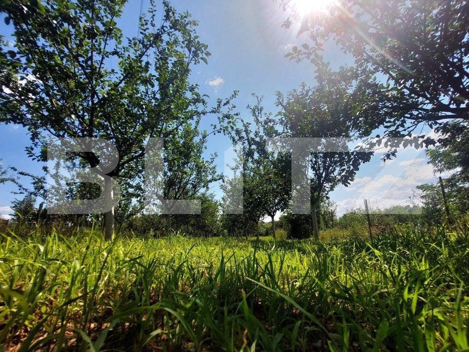 Casa de vânzare 3 camere Prundu - 149825CV | BLITZ Pitești | Poza15