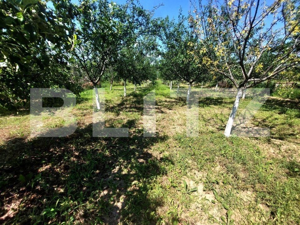 Casa de vânzare 3 camere Prundu - 149825CV | BLITZ Pitești | Poza7