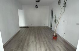Apartament 2 camere, 50mp, balcon, Curtea de Argeș