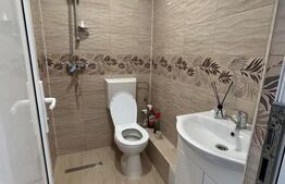 Apartament 2 camere, 50mp, balcon, Curtea de Argeș