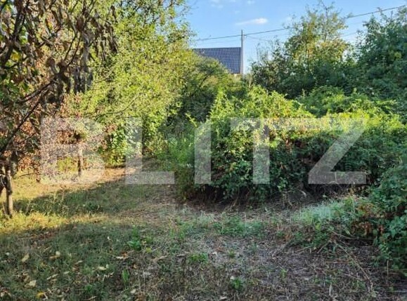 Teren de vânzare Smeura - 151706TV | BLITZ Pitești | Poza3