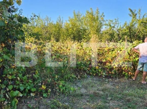 Teren de vânzare Smeura - 151706TV | BLITZ Pitești | Poza5