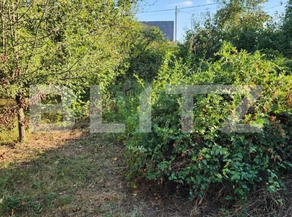 Teren de vânzare Smeura - 151706TV | BLITZ Pitești | Poza2