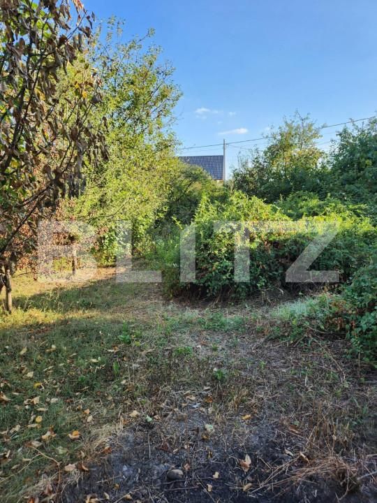 Teren de vânzare Smeura - 151706TV | BLITZ Pitești | Poza3