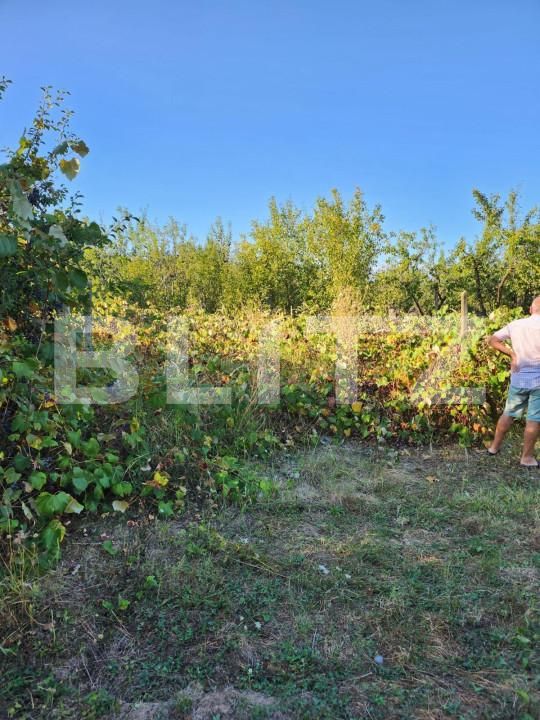 Teren de vânzare Smeura - 151706TV | BLITZ Pitești | Poza5