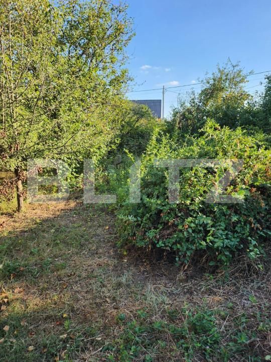 Teren de vânzare Smeura - 151706TV | BLITZ Pitești | Poza2