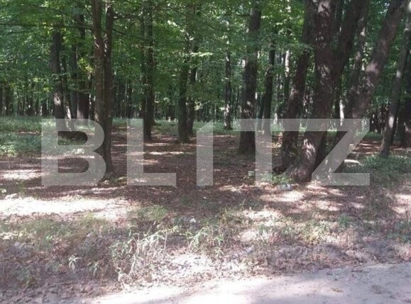Teren de vânzare Big-Bascov - 151722TV | BLITZ Pitești | Poza1