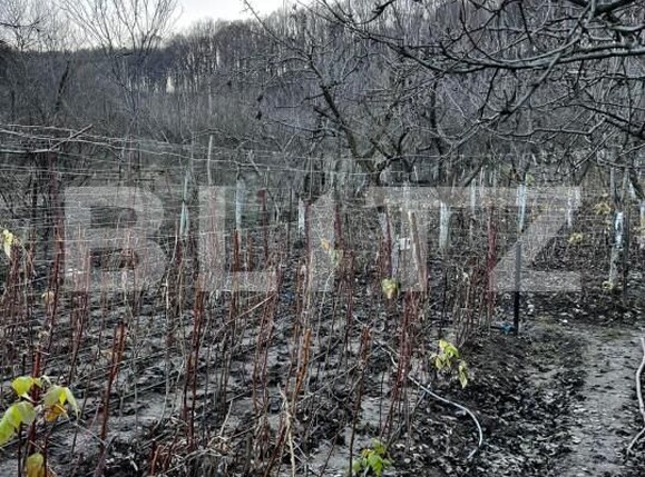 Casa de vânzare 4 camere Big-Bascov - 151737CV | BLITZ Pitești | Poza4