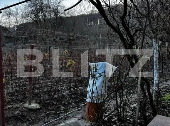 Casa de vânzare 4 camere Big-Bascov - 151737CV | BLITZ Pitești | Poza5