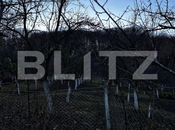 Casa de vânzare 4 camere Big-Bascov - 151737CV | BLITZ Pitești | Poza6