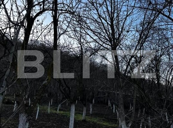 Casa de vânzare 4 camere Big-Bascov - 151737CV | BLITZ Pitești | Poza19