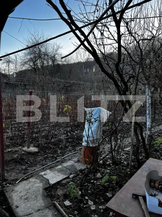 Casa de vânzare 4 camere Big-Bascov - 151737CV | BLITZ Pitești | Poza5