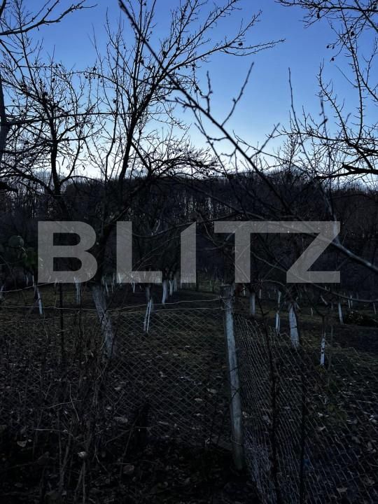 Casa de vânzare 4 camere Big-Bascov - 151737CV | BLITZ Pitești | Poza6