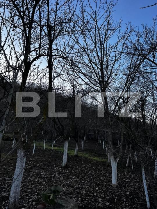 Casa de vânzare 4 camere Big-Bascov - 151737CV | BLITZ Pitești | Poza19