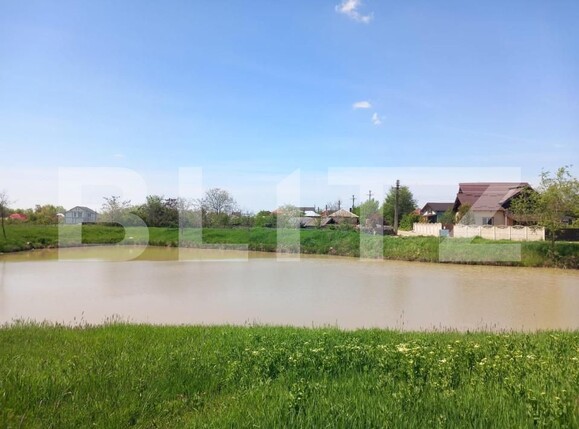 Teren de vânzare Bradu - 152040TV | BLITZ Pitești | Poza4