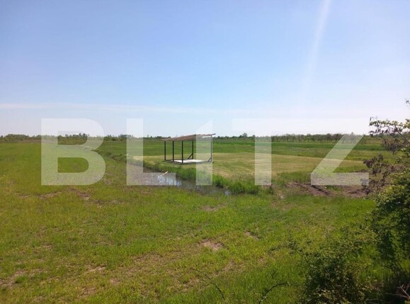 Teren de vânzare Bradu - 152040TV | BLITZ Pitești | Poza1