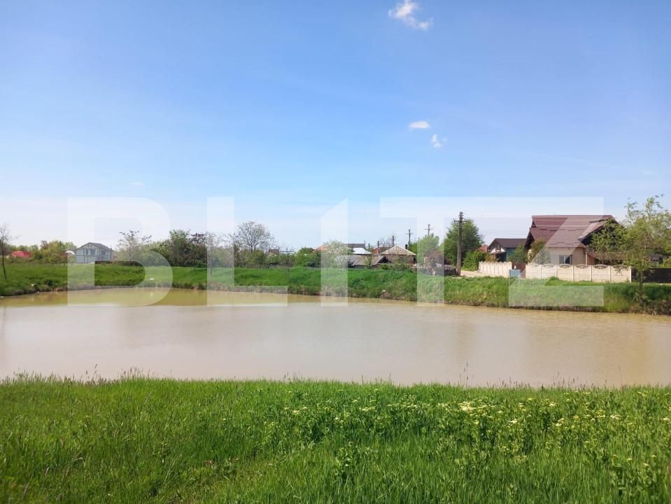 Teren de vânzare Bradu - 152040TV | BLITZ Pitești | Poza4